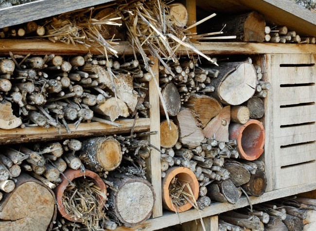 Maison de charme AG3 Albi vente achat immobilier. Nichoirs pour insectes utiles